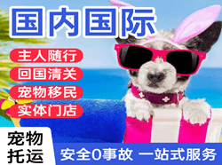 东极航空物流国际宠物托运 【国